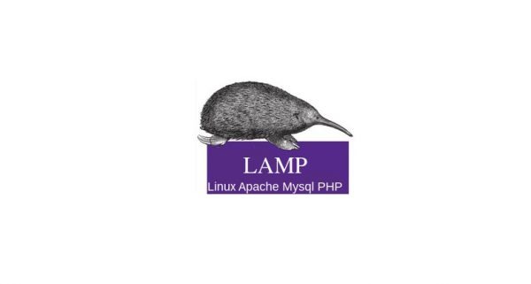 دامەزراندنی خزمەتگوزاری LAMP لە لینوکس