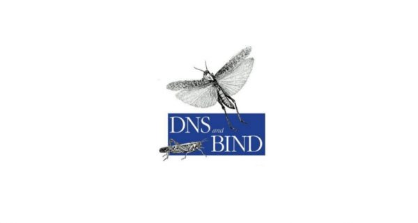 دامەزرادنی خزمەتگوزاری DNS Server لە لینوکس
